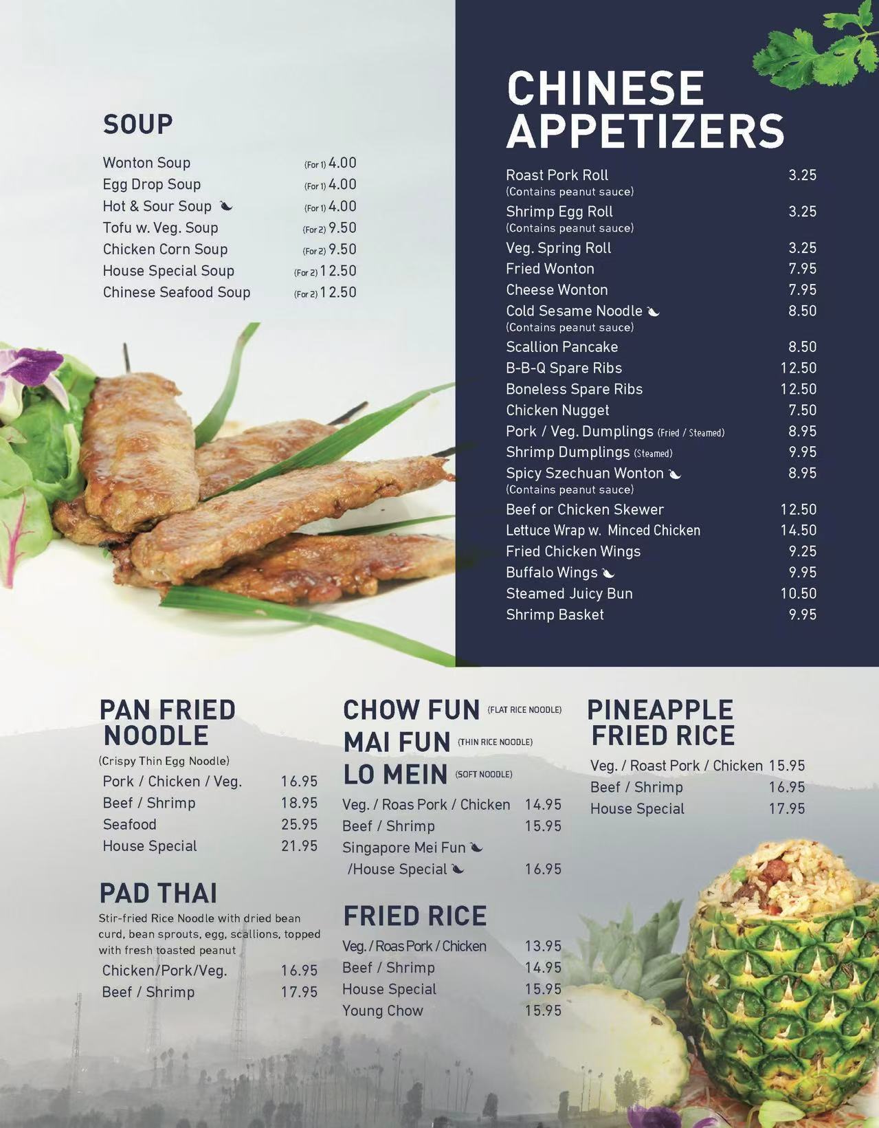 Chinese printed menu, page 1. Open image for full size; telephone us if you need help reading the menu.